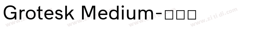 Grotesk Medium字体转换